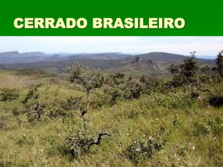 CERRADO BRASILEIRO
 