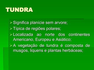 TUNDRA
Significa planície sem arvore;
Típica de regiões polares;
Localizada ao norte dos continentes
Americano, Europeu e Asiático;
A vegetação de tundra é composta de
musgos, liquens e plantas herbáceas;
 