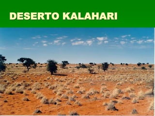 DESERTO KALAHARI
 