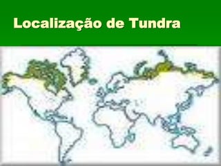Localização de Tundra
 