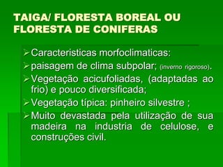 TAIGA/ FLORESTA BOREAL OU
FLORESTA DE CONIFERAS
Caracteristicas morfoclimaticas:
paisagem de clima subpolar; (inverno rigoroso).
Vegetação acicufoliadas, (adaptadas ao
frio) e pouco diversificada;
Vegetação típica: pinheiro silvestre ;
Muito devastada pela utilização de sua
madeira na industria de celulose, e
construções civil.
 
