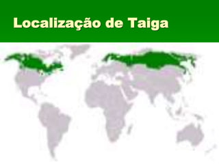 Localização de Taiga
 