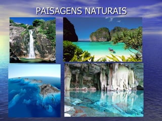 PAISAGENS NATURAIS 