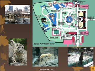 Central Park Zoo
 