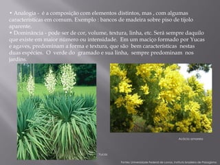 • Analogia - é a composição com elementos distintos, mas , com algumas
características em comum. Exemplo : bancos de madeira sobre piso de tijolo
aparente.
• Dominância - pode ser de cor, volume, textura, linha, etc. Será sempre daquilo
que existe em maior número ou intensidade. Em um maciço formado por Yucas
e agaves, predominam a forma e textura, que são bem características nestas
duas espécies. O verde do gramado e sua linha, sempre predominam nos
jardins.




                                                                                         Acácia amarela




                                    Yucas

                                             Fontes: Universidade Federal de Lavras, Instituto brasileiro de Paisagismo
 