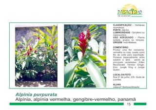 Paisagismo de-alagoas