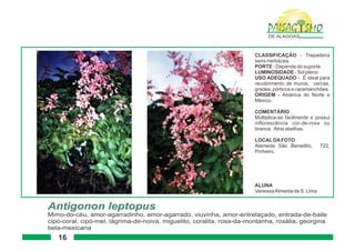 Paisagismo de-alagoas