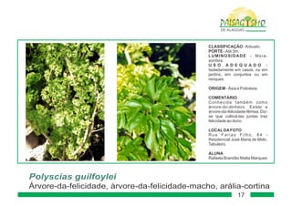 Paisagismo de-alagoas