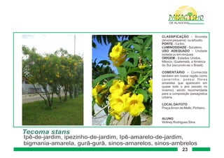 Paisagismo de-alagoas