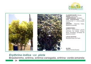 Paisagismo de-alagoas