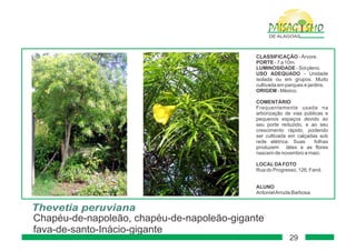 Paisagismo de-alagoas