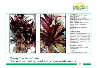 Paisagismo de-alagoas