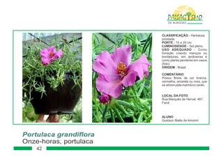 Paisagismo de-alagoas