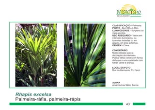 Paisagismo de-alagoas