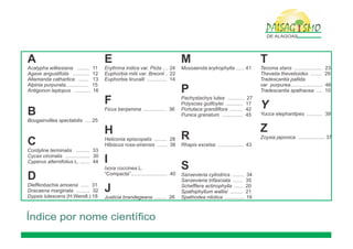 Paisagismo de-alagoas