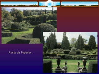 Paisagismo Meio Ambiente