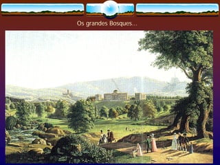 Paisagismo Meio Ambiente