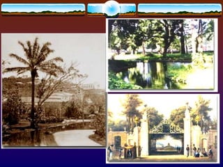 Paisagismo Meio Ambiente