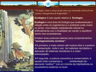 Paisagismo Meio Ambiente