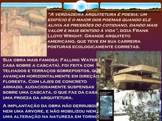 Paisagismo Meio Ambiente