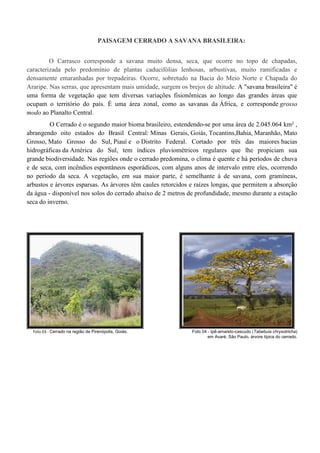 PAISAGEM CERRADO A SAVANA BRASILEIRA:
O Carrasco corresponde a savana muito densa, seca, que ocorre no topo de chapadas,
caracterizada pelo predomínio de plantas caducifólias lenhosas, arbustivas, muito ramificadas e
densamente emaranhadas por trepadeiras. Ocorre, sobretudo na Bacia do Meio Norte e Chapada do
Araripe. Nas serras, que apresentam mais umidade, surgem os brejos de altitude. A "savana brasileira" é
uma forma de vegetação que tem diversas variações fisionômicas ao longo das grandes áreas que
ocupam o território do país. É uma área zonal, como as savanas da África, e corresponde grosso
modo ao Planalto Central.
O Cerrado é o segundo maior bioma brasileiro, estendendo-se por uma área de 2.045.064 km² ,
abrangendo oito estados do Brasil Central: Minas Gerais, Goiás, Tocantins,Bahia, Maranhão, Mato
Grosso, Mato Grosso do Sul, Piauí e o Distrito Federal. Cortado por três das maiores bacias
hidrográficas da América do Sul, tem índices pluviométricos regulares que lhe propiciam sua
grande biodiversidade. Nas regiões onde o cerrado predomina, o clima é quente e há períodos de chuva
e de seca, com incêndios espontâneos esporádicos, com alguns anos de intervalo entre eles, ocorrendo
no período da seca. A vegetação, em sua maior parte, é semelhante à de savana, com gramíneas,
arbustos e árvores esparsas. As árvores têm caules retorcidos e raízes longas, que permitem a absorção
da água - disponível nos solos do cerrado abaixo de 2 metros de profundidade, mesmo durante a estação
seca do inverno.
Foto 03 - Cerrado na região de Pirenópolis, Goiás. Foto 04 - Ipê-amarelo-cascudo (Tabebuia chrysotricha)
em Avaré, São Paulo, árvore típica do cerrado.
 