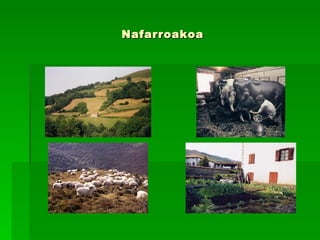 Nafarroakoa 