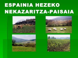 ESPAINIA HEZEKO NEKAZARITZA-PAISAIA 