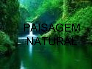 PAISAGEM NATURAL 