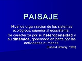PPAAIISSAAJJEE 
Nivel de organización de los sistemas 
ecológicos, superior al ecosistema. 
Se caracteriza por su heterogeneidad y 
su dinámica, gobernada en parte por las 
actividades humanas. 
((BBuurriieell && BBrraauuddrryy,, 11999999)) 
 