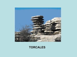 TORCALES