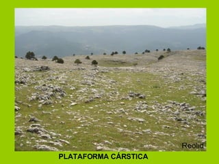 PLATAFORMA CÁRSTICA