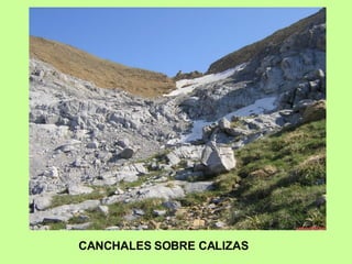 CANCHALES SOBRE CALIZAS