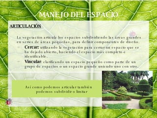 MANEJO DEL ESPACIO ARTICULACIÓN La vegetación articula los espacios subdividiendo las áreas grandes en series de áreas pequeñas, para definir componentes de diseño. Cercar:  utilizando la vegetación para cerrar un espacio que se ha dejado abierto, haciendo el espacio más completo e identificable. Vincular : clarificando un espacio pequeño como parte de un grupo de espacios o un espacio grande uniendo uno con otro. Así como podemos articular también podemos subdividir o limitar  