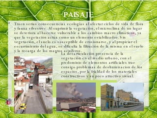 PAISAJE Traen serias consecuencias ecologías al afectar ciclos de vida de flora y fauna silvestres. Al suprimir la vegetación, el microclima de un lugar se deteriora al hacerse vulnerable a los cambios macro climáticos, ya que la vegetación actúa como un elemento estabilizador. Sin vegetación, el suelo es susceptible de erosionarse, y al propiciar el escurrimiento del agua, se dificulta la filtración de la misma en el suelo y la recarga de los mantos acuíferos. La desarticulación presencia de la vegetación en el medio urbano, con el predominio de elementos artificiales trae consigo problemas de deshumizacion de los espacios, por la frialdad de los materiales constructivos y su poco atractivo visual. 