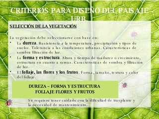 CRITERIOS PARA DISEÑO DEL PAISAJE URB. SELECCIÓN DE LA VEGETACIÓN La vegetación debe seleccionarse con base en: La  dureza . Resistencia a la temperatura, precipitación y tipos de suelos. Tolerancia a las condiciones urbanas. Características de sombra filtración de luz.  La  forma y estructura . Altura y tiempo de madurez o crecimiento, estructura en cuanto a ramas. Características de sombra y filtración de luz. El  follaje, las flores y los frutos . Forma, tamaño, textura y color del follaje. DUREZA – FORMA Y ESTRUCTURA  FOLLAJE FLORES Y FRUTOS Se requiere tener cuidado con la dificultad de trasplante y la necesidad de mantenimiento.  