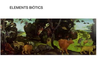 ELEMENTS BIÒTICS 
 