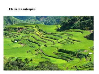 Elements antròpics 
 