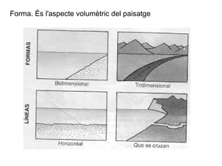 Forma. És l'aspecte volumètric del paisatge 
 