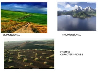 BIDIMENSIONAL TRIDIMENSIONAL 
FORMES 
CARACTERÍSTIQUES 
 