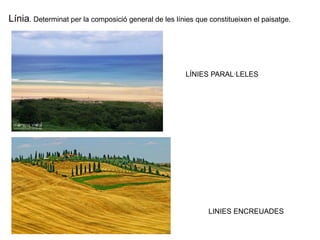 Línia. Determinat per la composició general de les línies que constitueixen el paisatge. 
LÍNIES PARAL·LELES 
LINIES ENCREUADES 
 