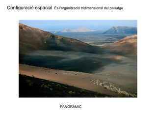 Configuració espacial És l'organització tridimensional del paisatge 
PANORÀMIC 
 