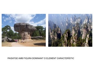 PAISATGE AMB FIGURA DOMINANT O ELEMENT CARACTERÍSTIC 
 