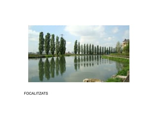 FOCALITZATS 
 