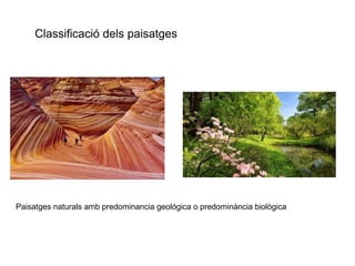 Classificació dels paisatges 
Paisatges naturals amb predominancia geológica o predominància biològica 
 