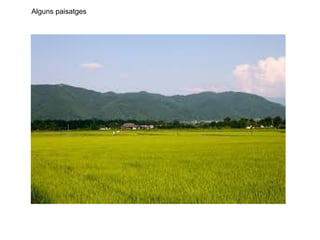 Alguns paisatges 
 