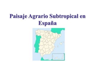 Paisaje Agrario Subtropical en
España
 