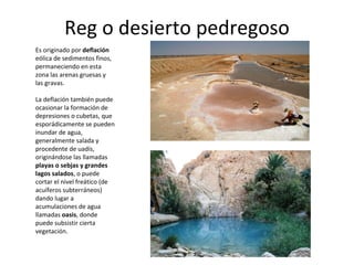 Reg o desierto pedregoso Es originado por  deflación  eólica de sedimentos finos, permaneciendo en esta zona las arenas gruesas y las gravas. La deflación también puede ocasionar la formación de depresiones o cubetas, que esporádicamente se pueden inundar de agua, generalmente salada y procedente de uadís, originándose las llamadas  playas o sebjas y grandes lagos salados , o puede cortar el nivel freático (de acuíferos subterráneos) dando lugar a acumulaciones de agua llamadas  oasis , donde puede subsistir cierta vegetación. 