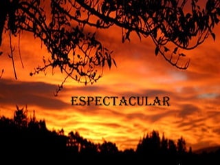 ESPECTACULAR 