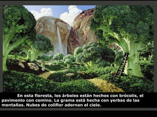 En esta floresta, los árboles están hechos con brócolis, el pavimento con comino. La grama está hecha con yerbas de las montañas. Nubes de coliflor adornan el cielo. 