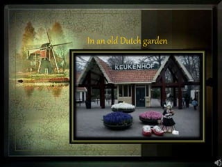 In an old Dutch garden
 